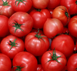 Automatic Tomato Ketchup Production Line ​6.5 Tons Per Hour
