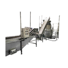 Automatic  Tomato Paste Processing Line 50 Tons / Hour