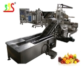 220 / 380 / 440v PLC Fruit Processing Line Machinery For Industrial Use