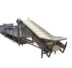 Robust Food Grade Fruit Processing Line Production Capacity Customization