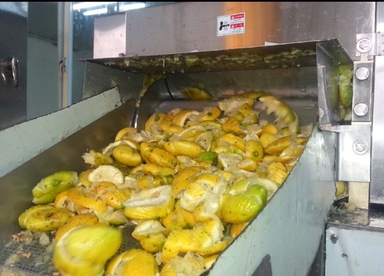 Automatic Pineapple Fruit Juice Production Line For Washing And Fruit Juice Pulp Producing