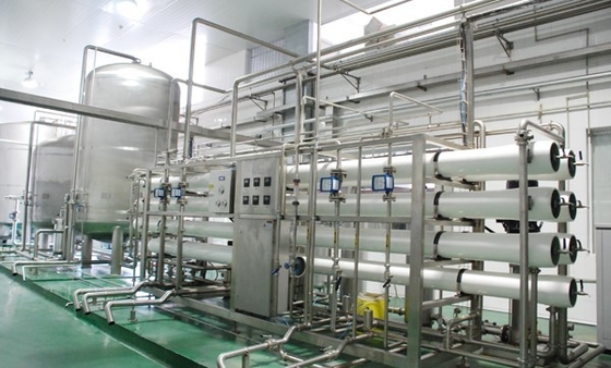 Automatic Pineapple Fruit Juice Production Line For Washing And Fruit Juice Pulp Producing
