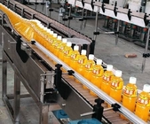 250ml Bottle Liquid Fruit Juice Processing Machines 4000 Bottle Per Hour