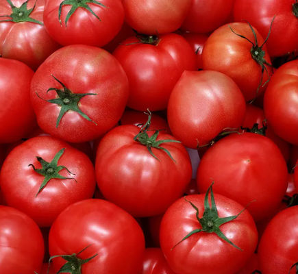 Chaîne de production automatique de ketchup de tomate 6,5 tonnes par heure