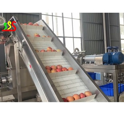 équipement de production de système de traitement de pulpe de pomme fraîche 5000kg/Hour 50Hz