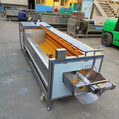 Stainless Steel Food Grade Fruit Processing Line With Automatic Bag Packing