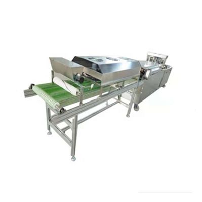Machine à tortillas en argent commercial de qualité automatique automatique à rangée unique