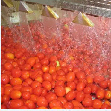 Chaîne de fabrication automatique grande vitesse de sauce tomate
