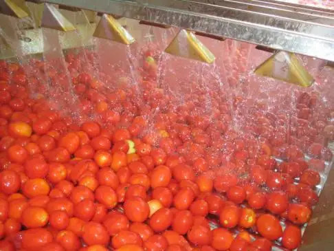 Fresh Tomato Ketchup Jam Paste Sauce Processing Line