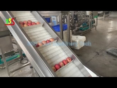 Chaîne de production concentrée de pulpe de fruit capacité élevée