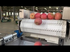 Ligne de transformation de fruits de qualité alimentaire en acier inoxydable avec emballage automatique des sacs