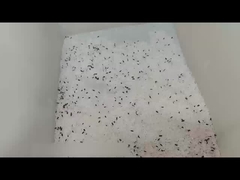 Mini trieuse de couleur